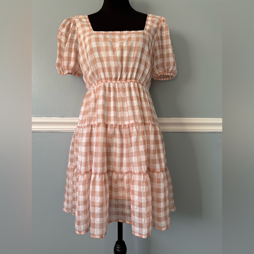 Trixxi Blush Gingham Mini Dress